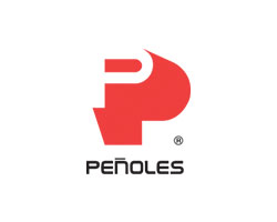 kpgroup-clientes_0003_LOGO PEÑOLES