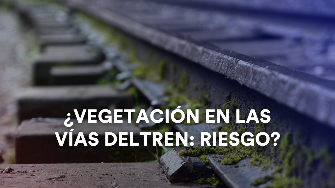 Vegetación en las vías ¿Riesgo?